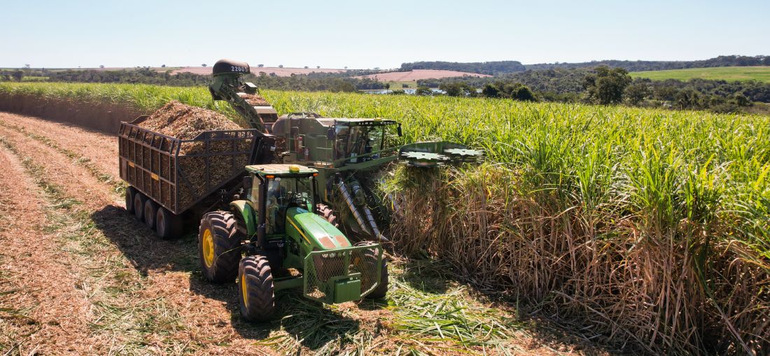 Usina Estiva começa mais uma safra