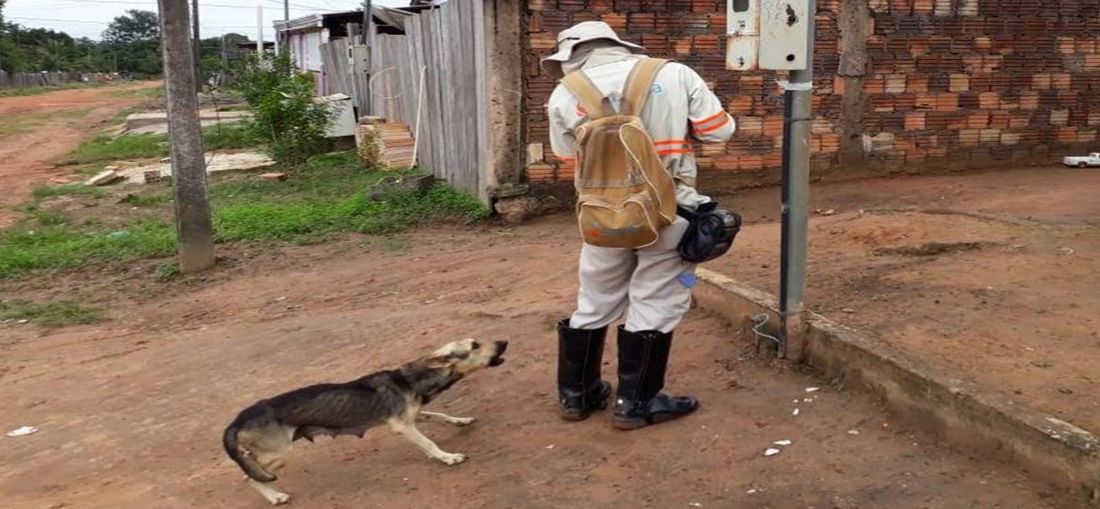 Foto: Divulgação Energisa
