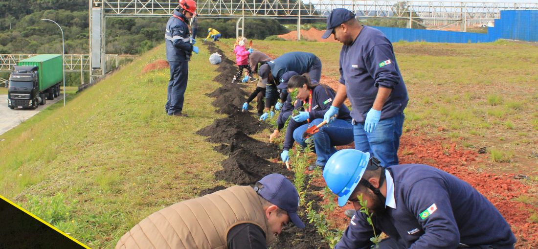 Mês do Meio Ambiente: Dunlop acelera iniciativas sustentáveis e amplia ações de conscientização