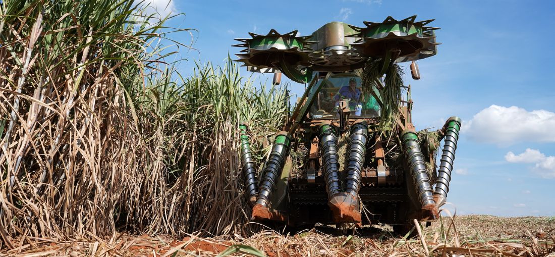 Tereos amplia frota de colhedoras de duas linhas e avança em eficiência energética no campo