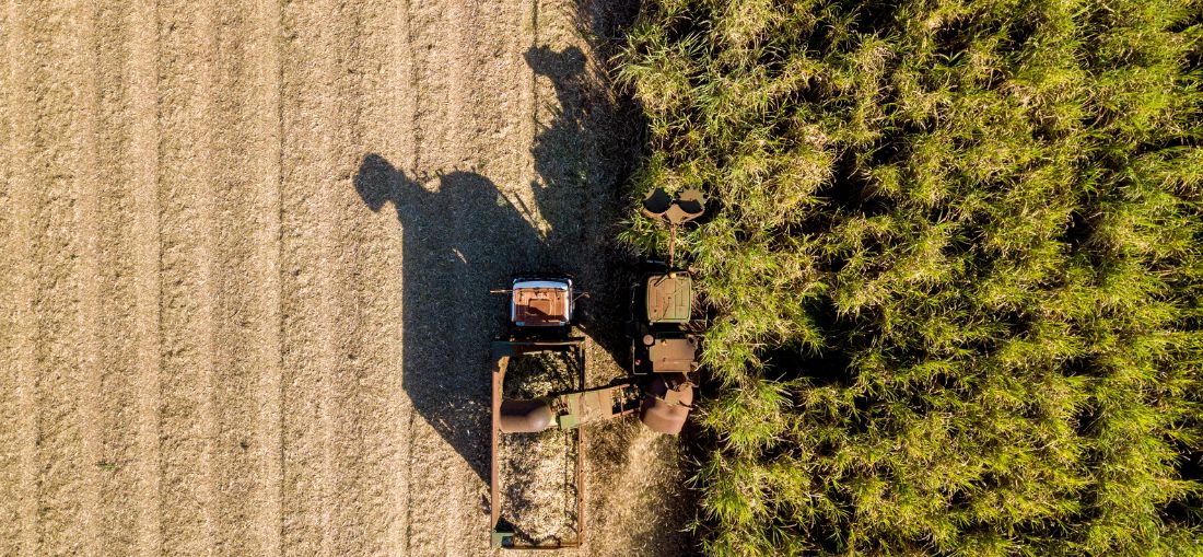 Foto: Studio CJ/Getty Images